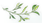 篮球训练心得体会400字左右_0